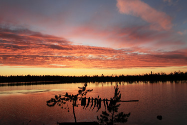 Similar image 13310066