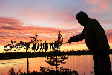 Similar image 13309997