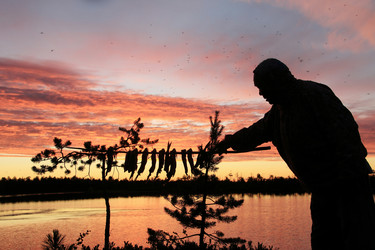 Similar image 13309998