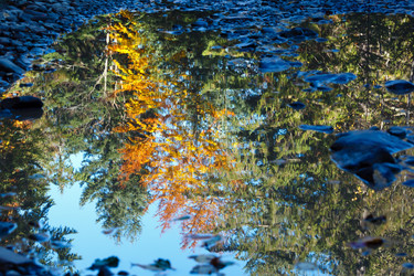 Similar image 13311681