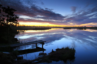 Similar image 13310157