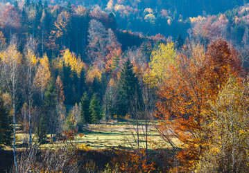 Similar image 13311610