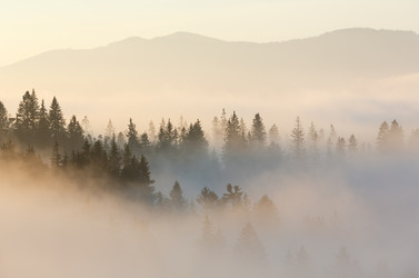 Similar image 13311527