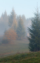 Similar image 13311529