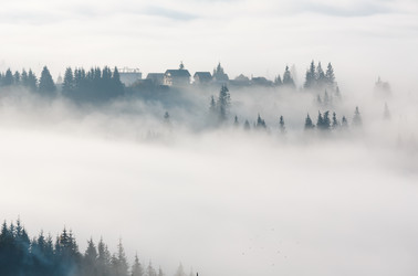 Similar image 13311531