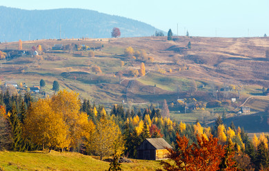 Similar image 13311616