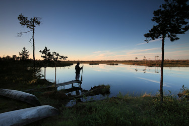 Similar image 13310156