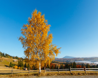 Similar image 13311510