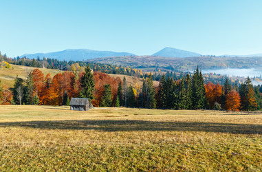 Similar image 13311512