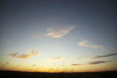 Similar image 13310253