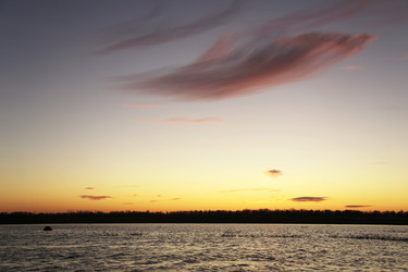 Similar image 13310022