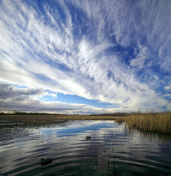 Similar image 13310034