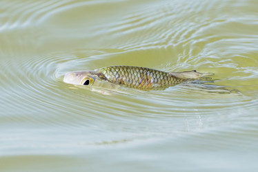 Similar image 13308171