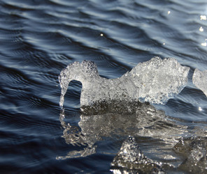 Similar image 13310099