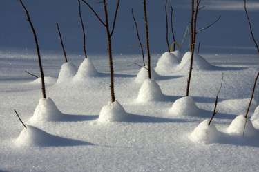 Similar image 13310221