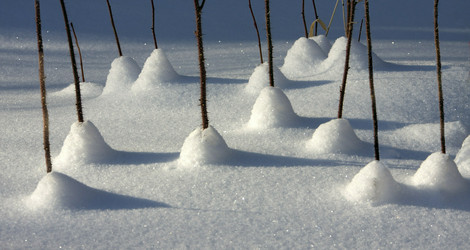 Similar image 13310226