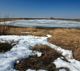 Similar image 13309973