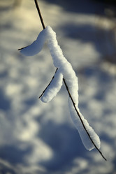 Similar image 13309977