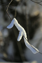 Similar image 13310068