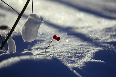 Similar image 13310239