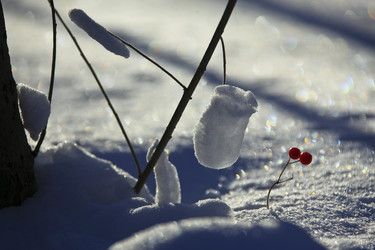 Similar image 13310240