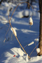 Similar image 13316825