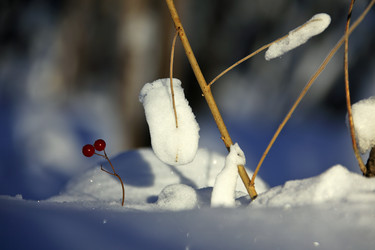 Similar image 13316826