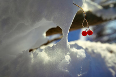 Similar image 13310044