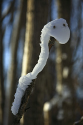 Similar image 13310050