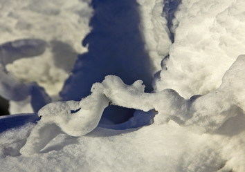 Similar image 13310106