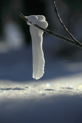 Similar image 13310122