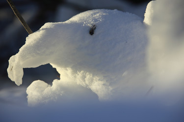 Similar image 13310181