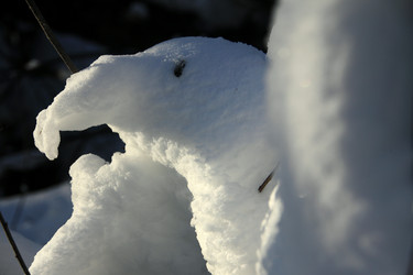 Similar image 13310257