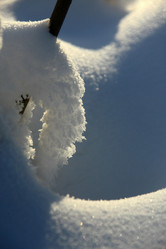 Similar image 13310259