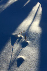 Similar image 13309955