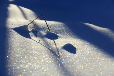 Similar image 13309956