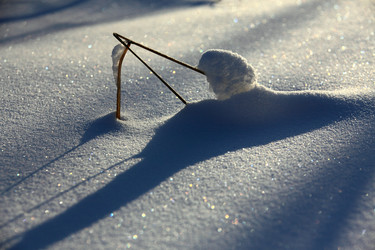 Similar image 13310032