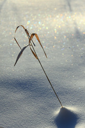 Similar image 13310185