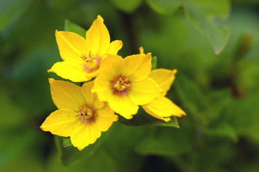 Similar image 13308234