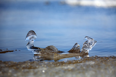 Similar image 13310261