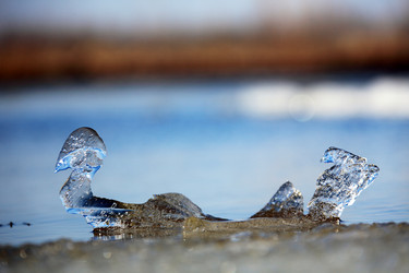 Similar image 13310082