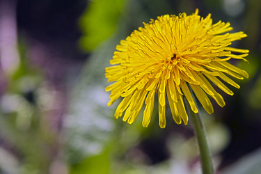 Similar image 13308189