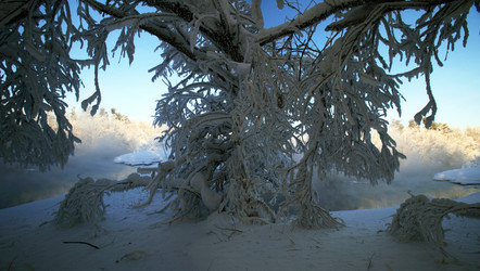 Similar image 13310161