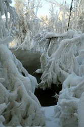 Similar image 13309957