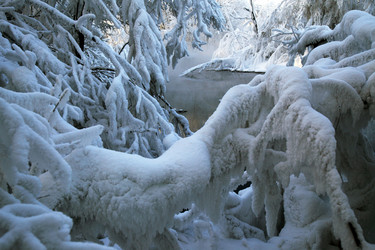 Similar image 13309958