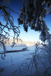 Similar image 13309959