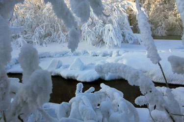 Similar image 13310135