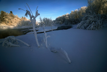 Similar image 13310184