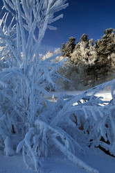 Similar image 13316796