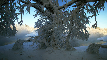 Similar image 13309984